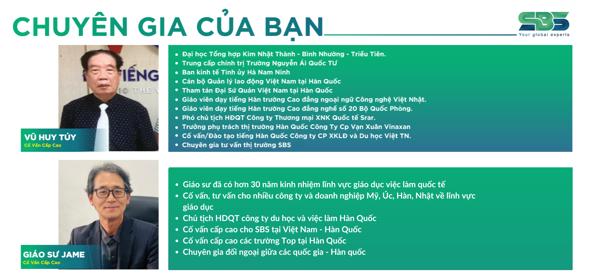 Giáo sư đã có hơn 30 năm kinh nhiệm lĩnh vực giáo dục việc làm quốc tế Cố vấn, tư vấn cho nhiều công ty và doanh nghiệp Mỹ, Úc, Hàn, Nhật về lĩnh vực giáo dục Chủ tịch HDQT công ty du học và việc